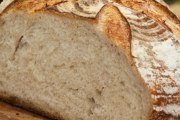 Holsum Bread, Gallup