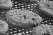 Cookie Company, N Belt Hwy, Saint Joseph, MO, 64501 - Image 1 of 1