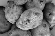 Cookies by Design, 3400 E Speedway Blvd, Ste 100, Tucson, AZ, 85716 - Image 1 of 4