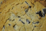 Cookies in Bloom, 1655 Forum Pl, West Palm Beach, FL, 33401 - Image 1 of 1
