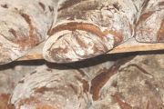 Butternut Bread CO, 361 E Lakewood Blvd, Holland, MI, 49424 - Image 1 of 1