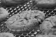Eileen's Colossal Cookies, 5500 Old Cheney Rd, Ste 19, Lincoln, NE, 68516 - Image 1 of 1