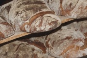 Evangeline Maid Bread, 3245 Highway 70, Morgan City, LA, 70380 - Image 1 of 1