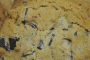 Incredible Chocolate Chip Cookie CO, Auburn