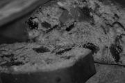 Panera Bread, 11401 E 71st St, Broken Arrow, OK, 74012 - Image 2 of 2