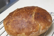 Wonder Bread & Hostess Cake, Newport
