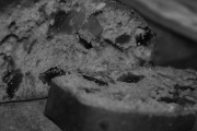 Wonder Bread Hostess Cake, Siloam Springs