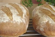 Wonder Bread-Hostess Cakes, Nampa