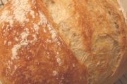 Panera Bread, 3895 Medina Rd, Akron, OH, 44333 - Image 2 of 2