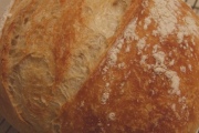 Panera Bread, 4519 N High St, Columbus, OH, 43214 - Image 2 of 2