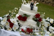 A Wedding Cake!, San Antonio