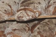 Panera Bread, 605 Mall Ring Cir, #140, Henderson, NV, 89014 - Image 2 of 2