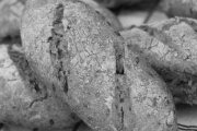 Panera Bread, 3900 W Market St, #F, Greensboro, NC, 27407 - Image 2 of 2