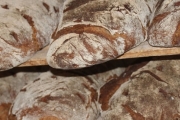 Wildflower Bread Company - Deer Valley, 2805 W Agua Fria Fwy, #6, Phoenix, AZ, 85027 - Image 1 of 2