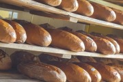 Panera Bread, 8635 Blanding Blvd, #101, Jacksonville, FL, 32244 - Image 2 of 2