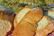 Panera Bread, 136 Nassau St, Princeton, NJ, 08542 - Image 1 of 1