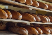 Panera Bread, 2930 Festival Way, Waldorf, MD, 20601 - Image 2 of 2