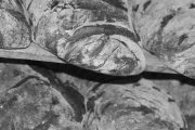 Panera Bread, 1330 Orchard Rd, #a7, Aurora, IL, 60506 - Image 2 of 2