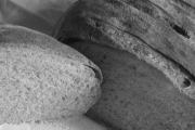 Panera Bread, 2750 NW Federal Hwy, Stuart, FL, 34994 - Image 2 of 2