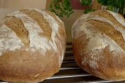 Panera Bread, 2928 W Bay Dr, Belleair Bluffs, FL, 33770 - Image 2 of 2