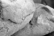 Panera Bread, 4955 S Ulster St, Denver, CO, 80237 - Image 2 of 2