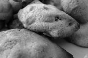 Eileens Colossal Cookies, 1125 W Drake Rd, #b3, Fort Collins, CO, 80526 - Image 1 of 1