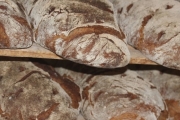 Panera Bread, 254 E Rollins Rd, #8, Round Lake Beach, IL, 60073 - Image 2 of 2