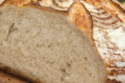 Panera Bread, 13704 Northwest Fwy, Houston, TX, 77040 - Image 2 of 2
