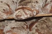 Panera Bread, 12959 Atlantic Blvd, #1, Jacksonville, FL, 32225 - Image 2 of 2
