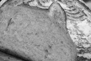 Panera Bread, 15220 Rosecrans Ave, La Mirada, CA, 90638 - Image 2 of 2