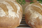 Panera Bread, 521 2nd Pl N, #101, Kent, WA, 98032 - Image 2 of 2