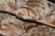 Panera Bread, 321 Arsenal St, Watertown, MA, 02472 - Image 2 of 2