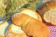 Panera Bread, 9717 NW 41st St, Doral, FL, 33178 - Image 2 of 2