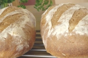 Panera Bread, 2450 Main St, #4, Glastonbury, CT, 06033 - Image 2 of 2