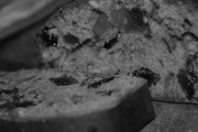 Panera Bread, 1101 W Bird Blvd, Peoria, IL, 61615 - Image 2 of 4