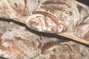 Panera Bread, 4442 Southmont Way, Easton, PA, 18045 - Image 2 of 2