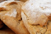 Panera Bread, 10801 Starkey Rd, #16, Largo, FL, 33777 - Image 2 of 2