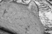 Panera Bread, 533 S Broad St, #2, Meriden, CT, 06450 - Image 2 of 2