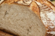 Panera Bread, 2618 N Salisbury Blvd, #110, Salisbury, MD, 21801 - Image 2 of 2