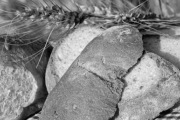 Panera Bread, 1391 Polaris Pky, Columbus, OH, 43240 - Image 2 of 2