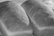 Panera Bread, 5043 Tuttle Crossing Blvd, #201, Dublin, OH, 43016 - Image 2 of 2