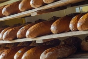 Panera Bread, 1747 Sheridan Dr, Buffalo, NY, 14223 - Image 2 of 2