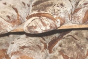 Panera Bread, 4547 Weston Rd, Weston, FL, 33331 - Image 2 of 2
