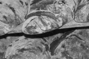 Stick Boy Bread Company, 345 Hardin St, Boone, NC, 28607 - Image 2 of 5