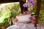 A WEDDING CAKE OF OXFORD, 2102 Harris Dr, Oxford, MS, 38655 - Image 1 of 2