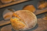 Panera Bread, 3571 N Freeway Blvd, #110, Sacramento, CA, 95834 - Image 2 of 2