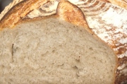 Stick Boy Bread Company, Fuquay-Varina