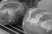 Bread Box Caribbean Bakery, 3213 N Sr-7, Margate, FL, 33063 - Image 2 of 2