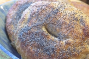 Bagel Bin of Voorhees, 203 Cooper Rd, Voorhees, NJ, 08043 - Image 1 of 1