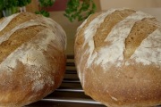 Panera Bread, 1492 S Randall Rd, Ste J, Geneva, IL, 60134 - Image 2 of 3